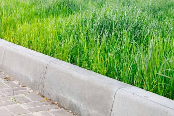 Cost of Concrete Curb Repair in Hendersonville