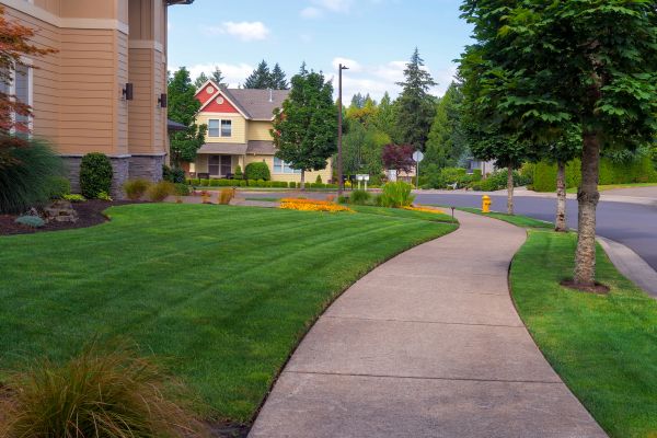 Cost of Sidewalk Patching in Hendersonville