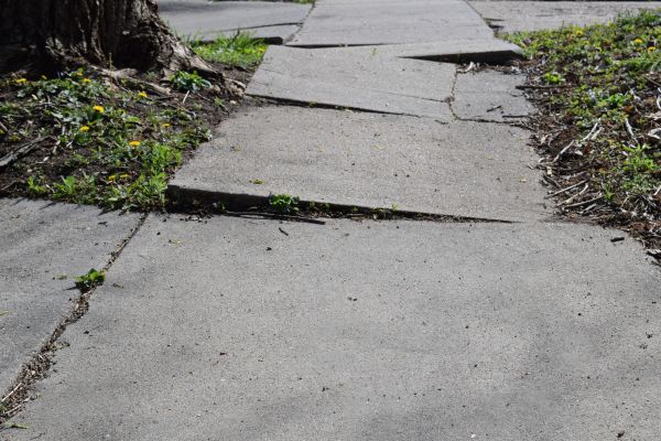 Cost of Sidewalk Hazard Repair in Hendersonville